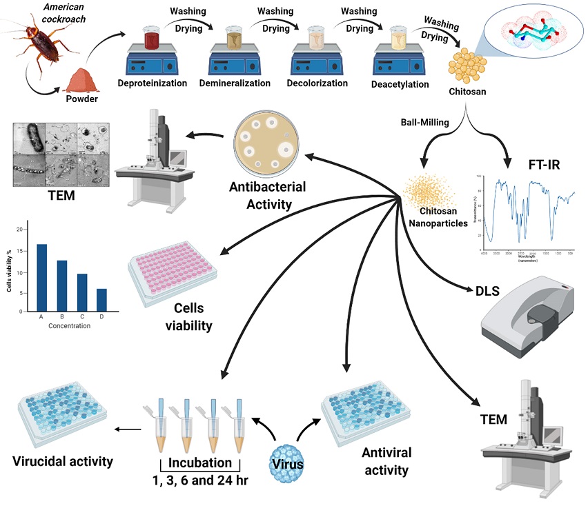 Graphical Abstract