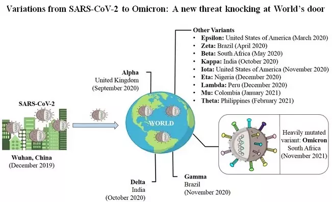 Graphical Abstract