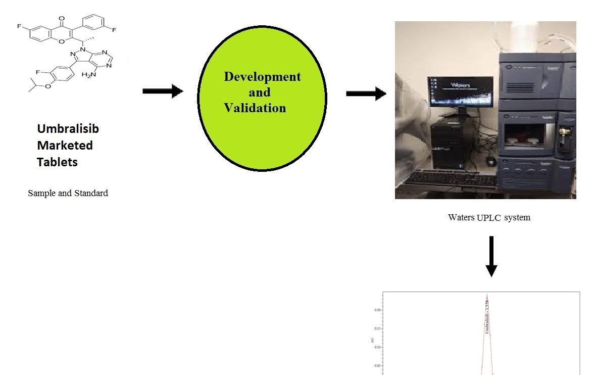 Graphical Abstract