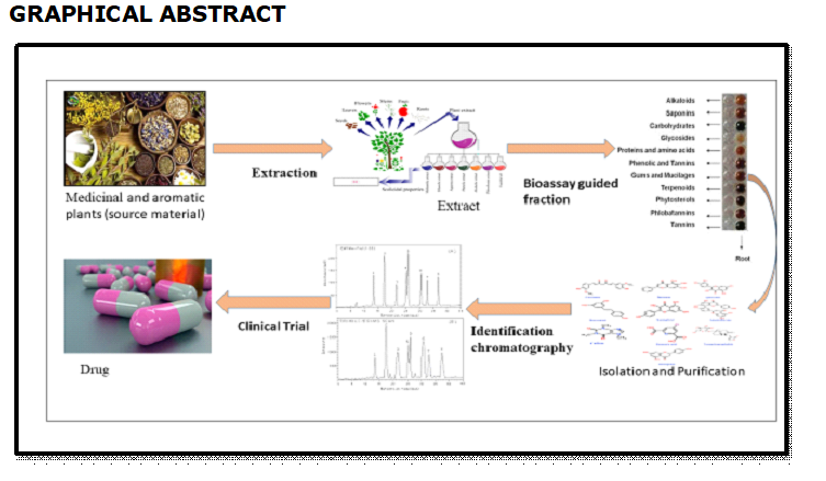 Graphical Abstract