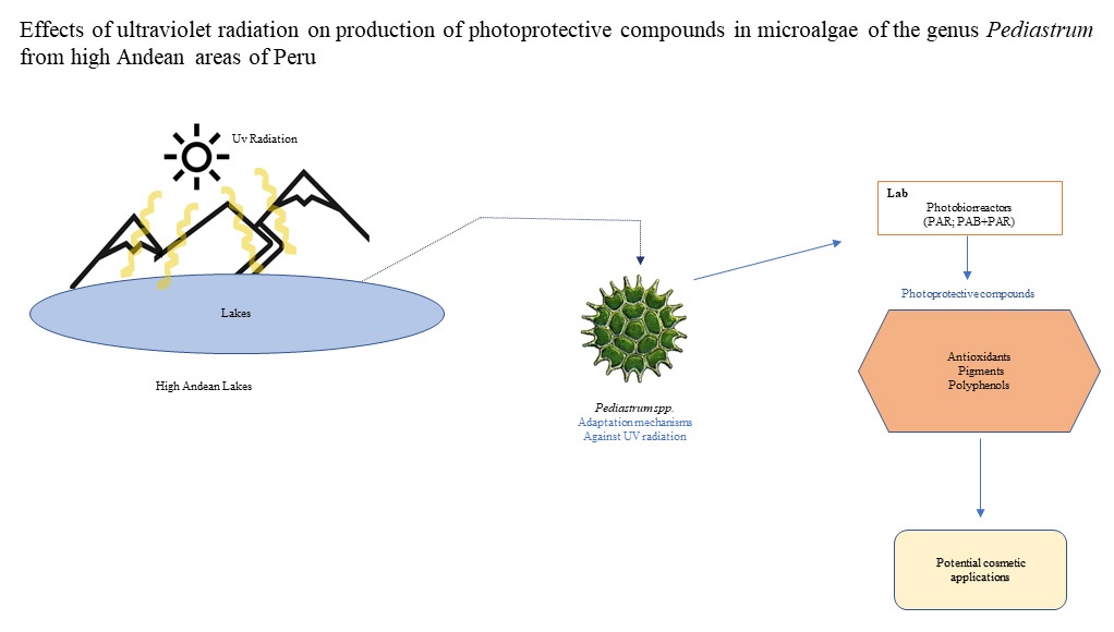 Graphical Abstract