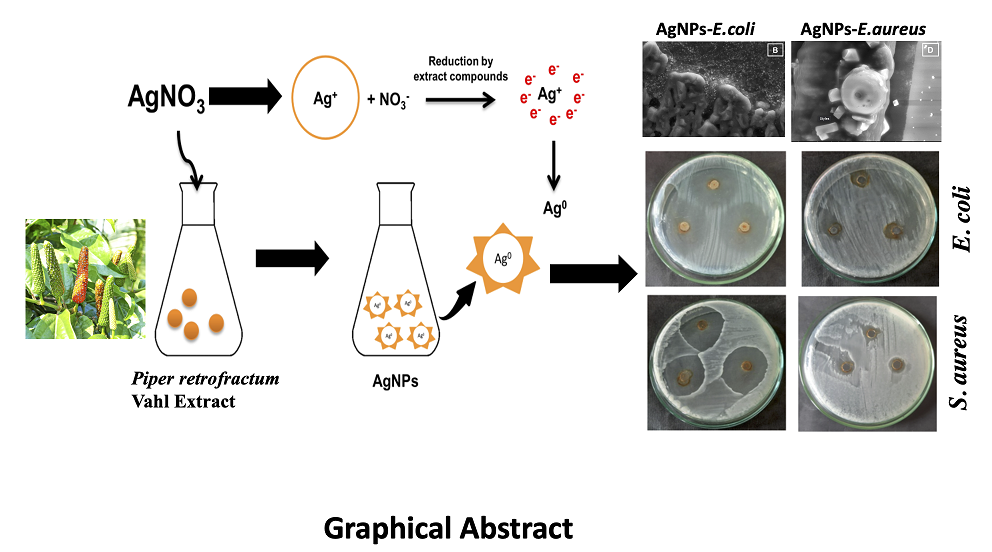 Graphical Abstract
