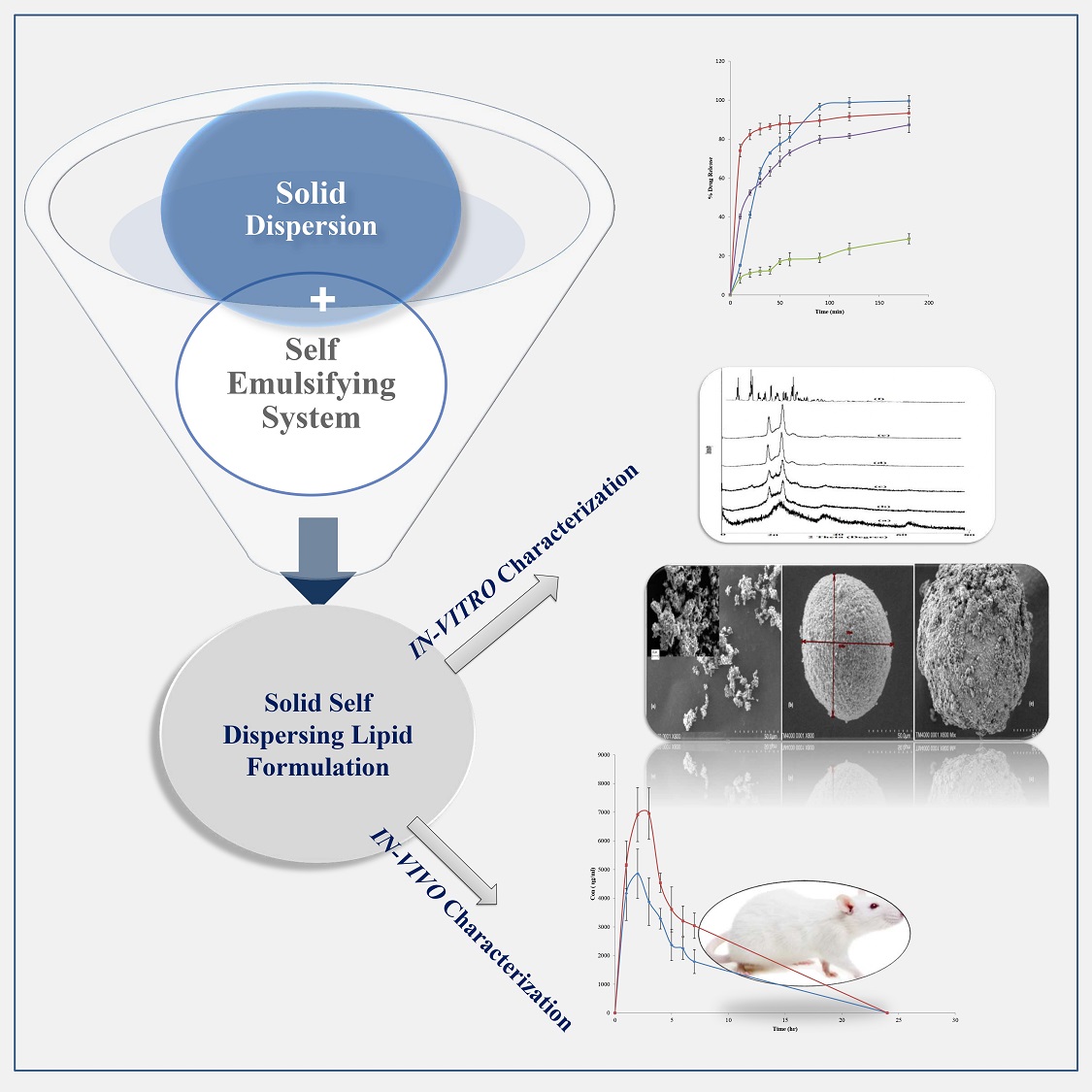 Graphical Abstract