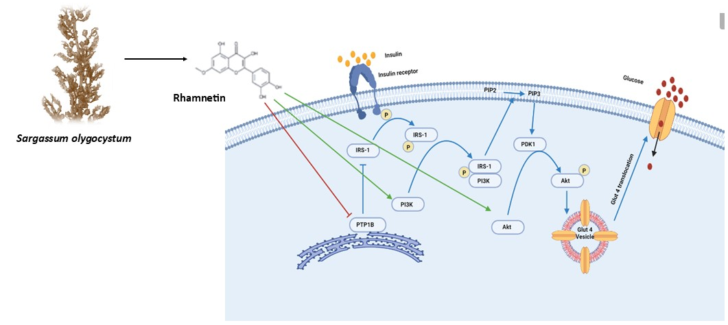 Graphical Abstract