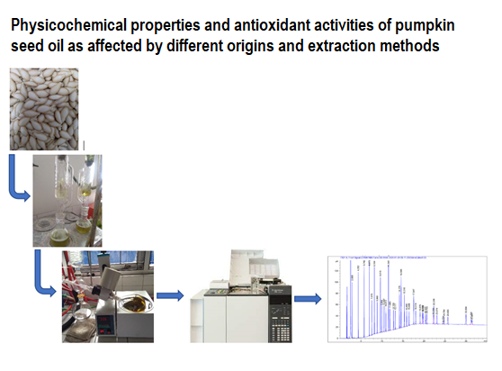 Graphical Abstract