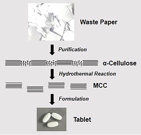 Graphical Abstract