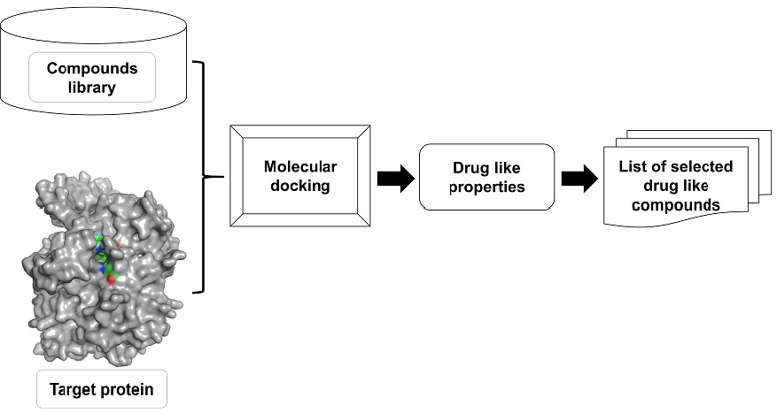 Graphical Abstract
