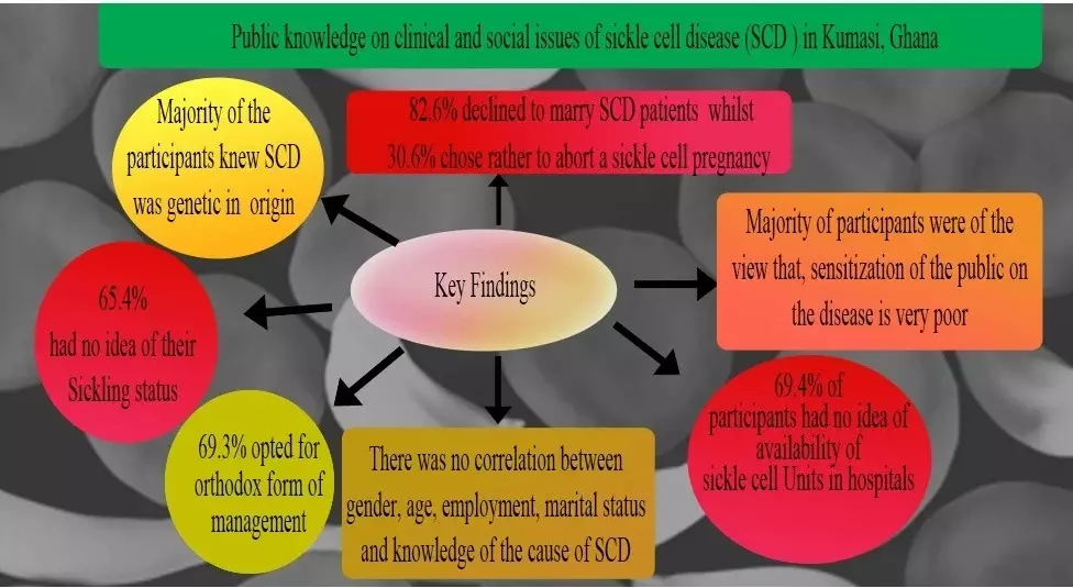 Graphical Abstract