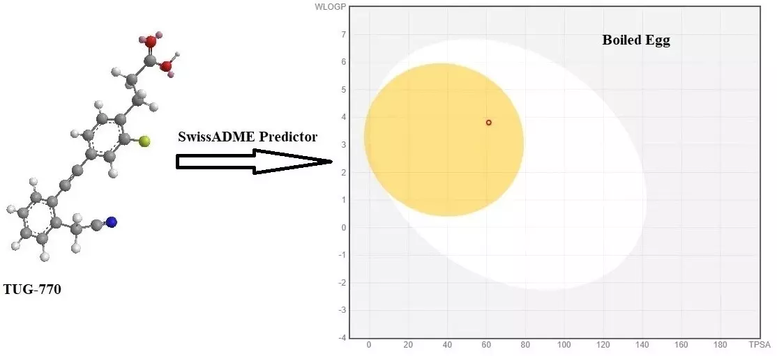 Graphical Abstract