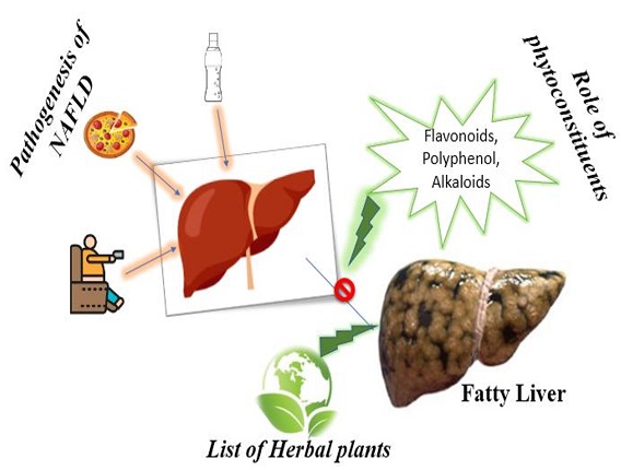 Graphical Abstract