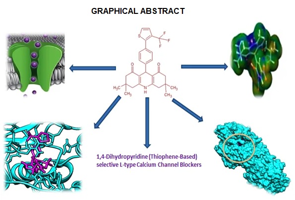 Graphical Abstract