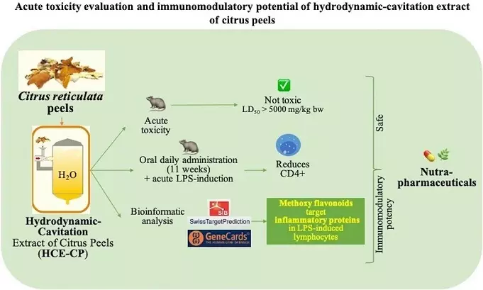 Graphical Abstract