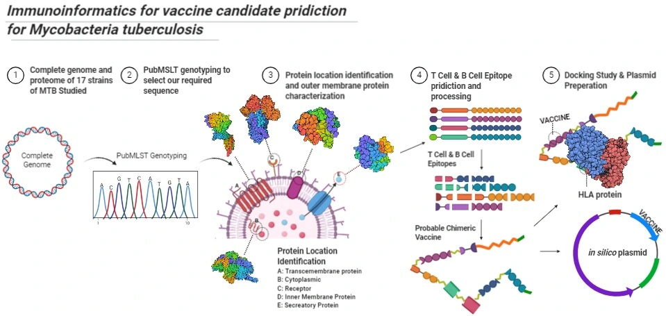 Graphical Abstract