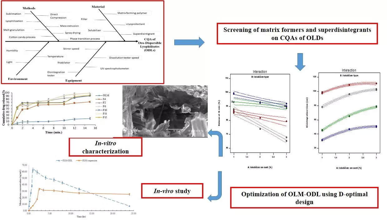 Graphical Abstract