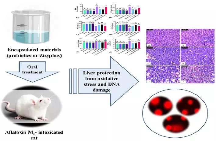 Graphical Abstract