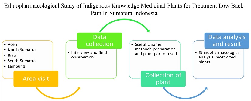Graphical Abstract