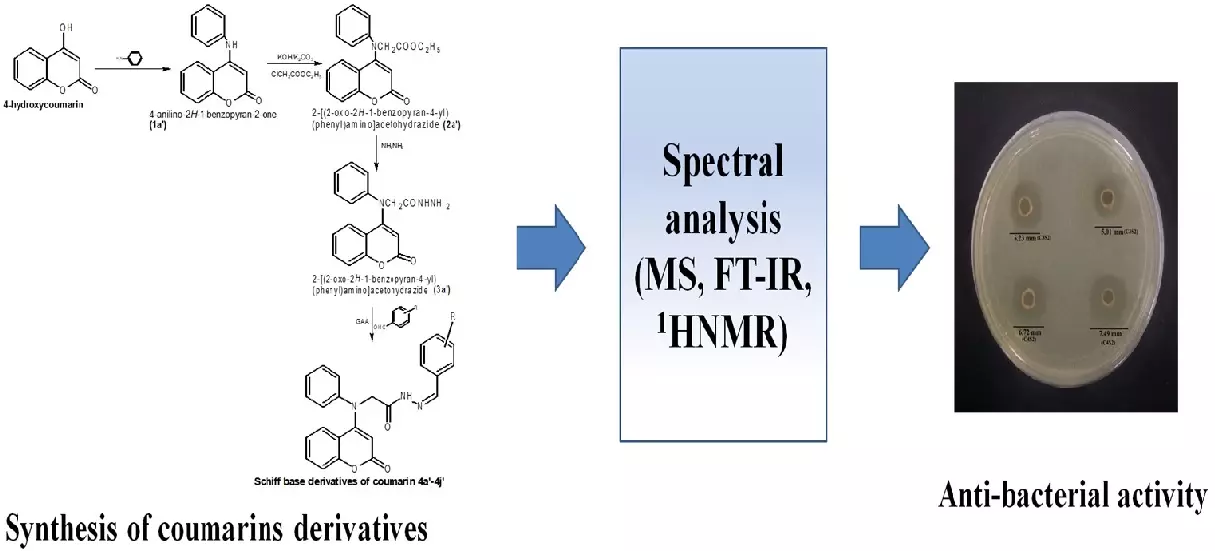 Graphical Abstract
