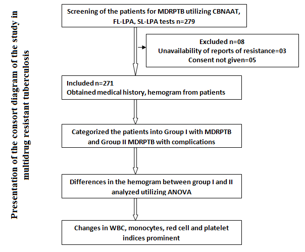 Graphical Abstract
