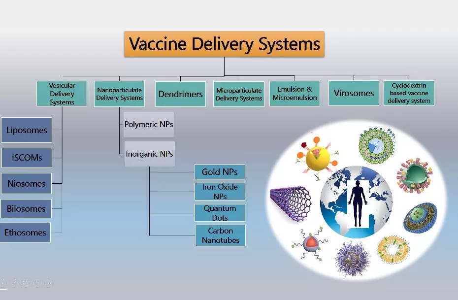 Graphical Abstract