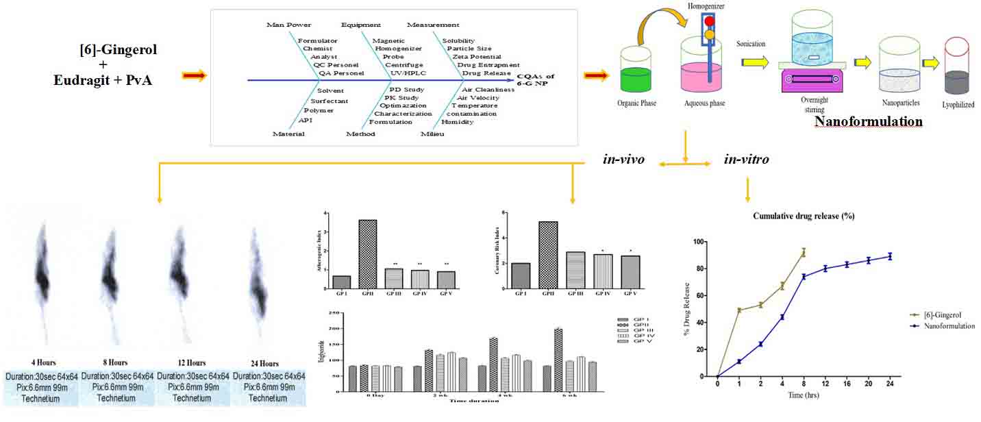 Graphical Abstract
