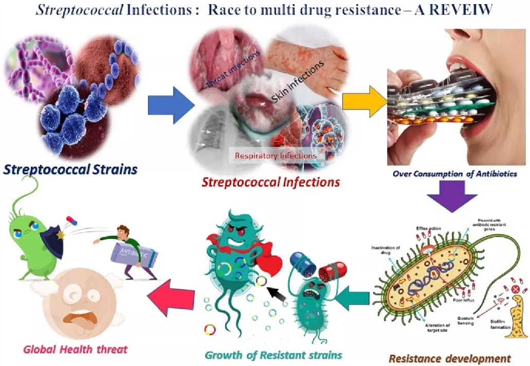 Graphical Abstract