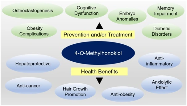 Graphical Abstract
