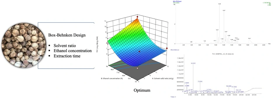 Graphical Abstract