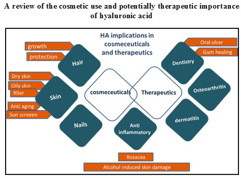 Graphical Abstract