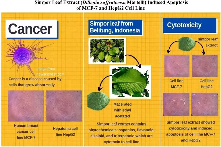 Graphical Abstract