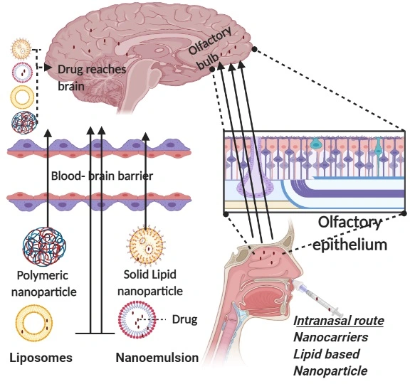 Graphical Abstract