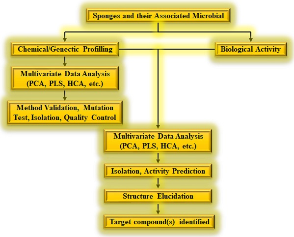 Graphical Abstract