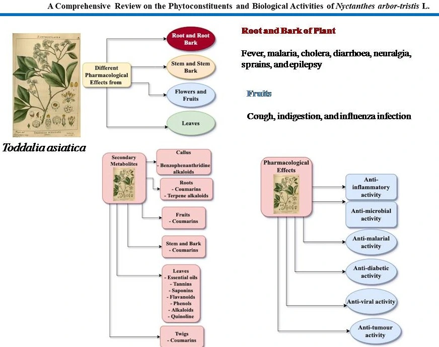 Graphical Abstract