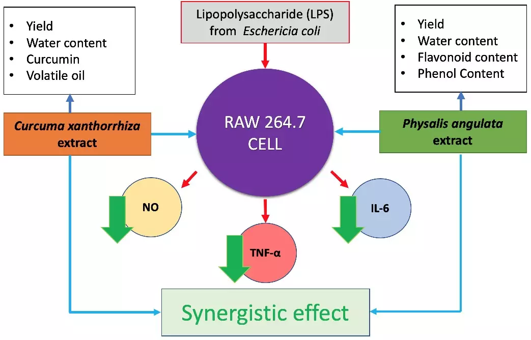 Graphical Abstract