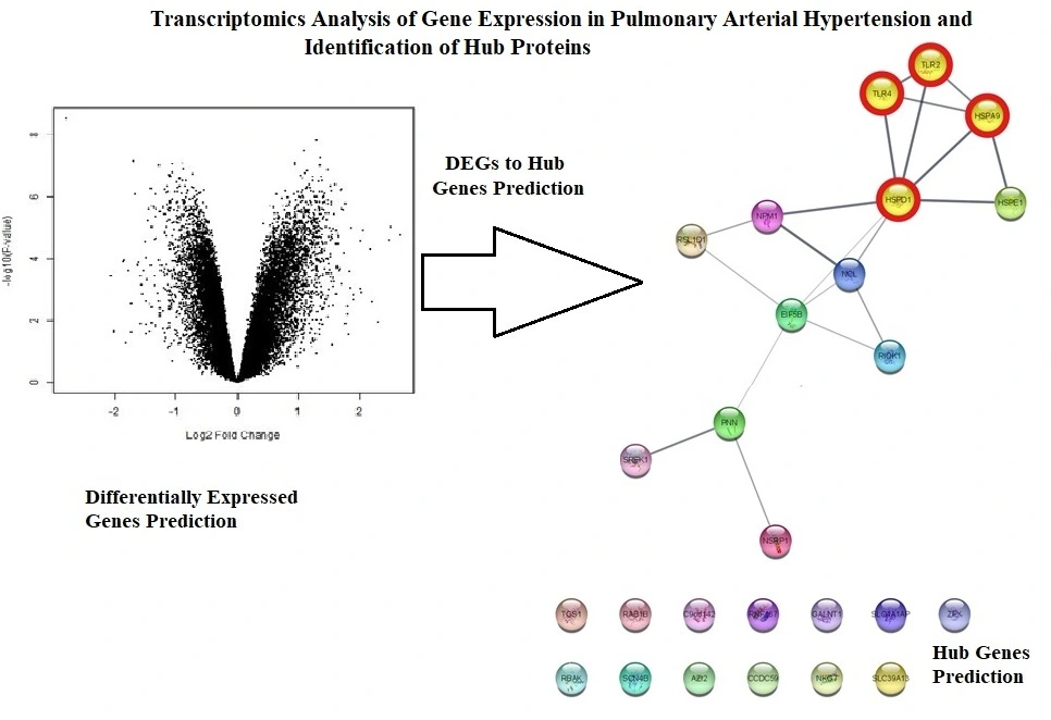 Graphical Abstract