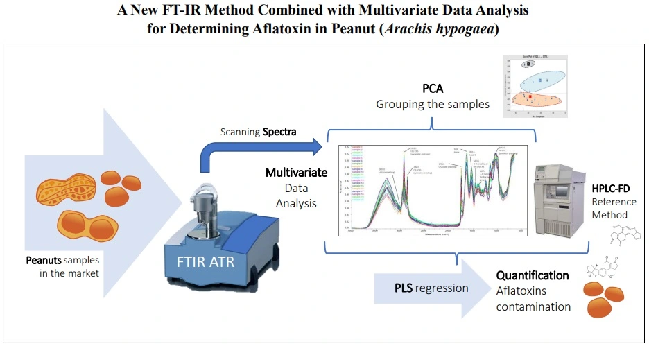 Graphical Abstract