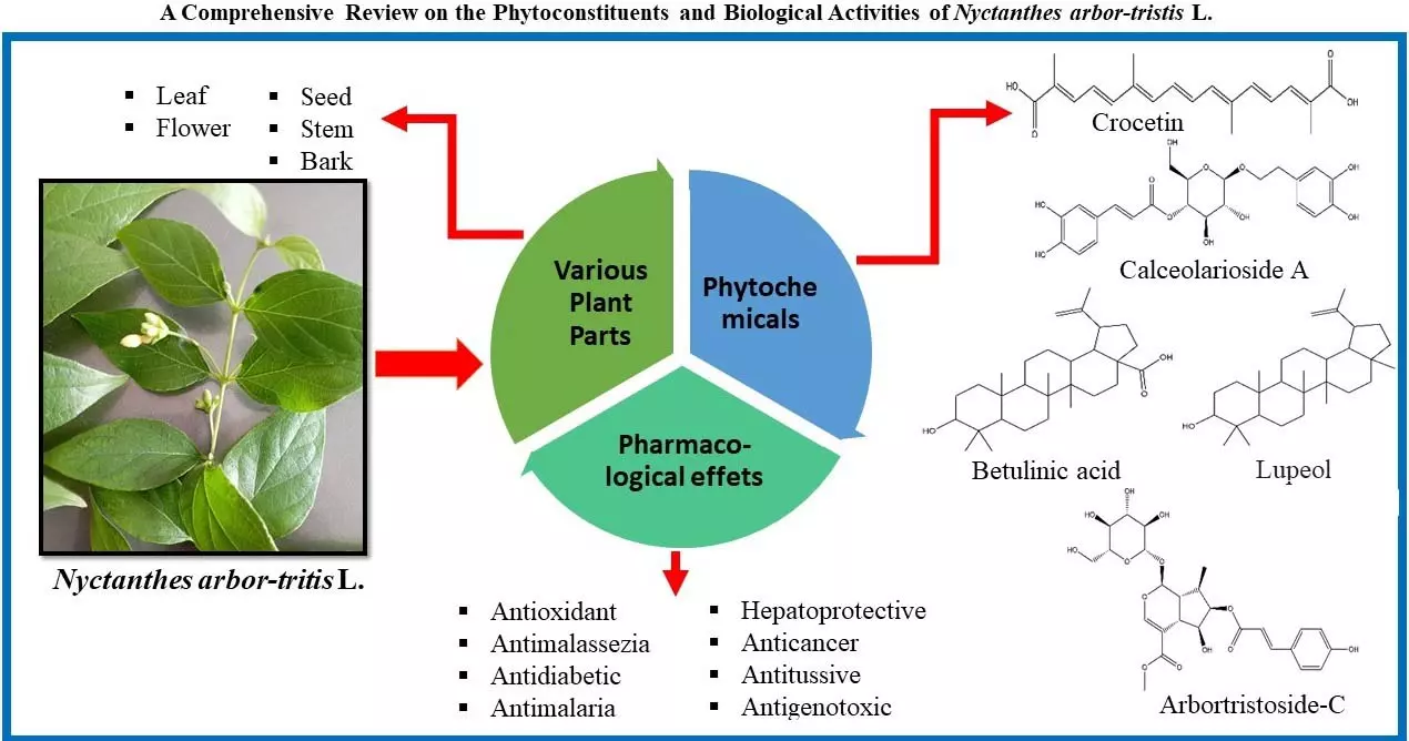 Graphical Abstract