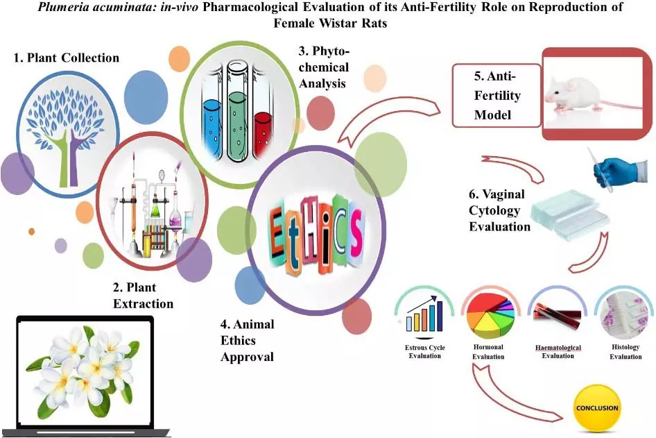 Graphical Abstract