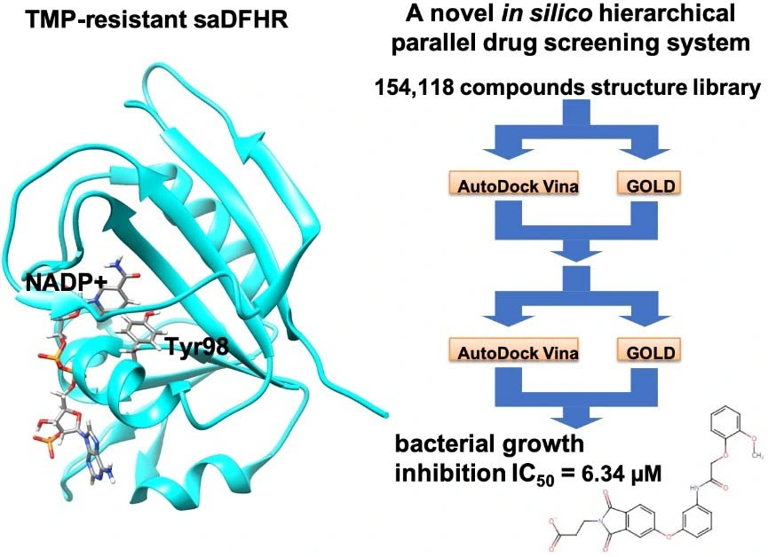 Graphical Abstract