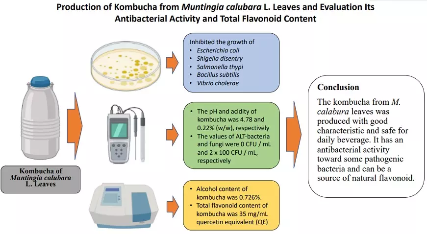 Graphical Abstract