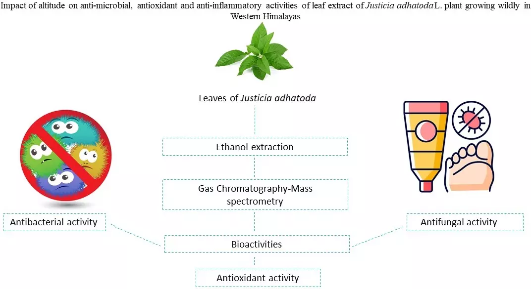 Graphical Abstract