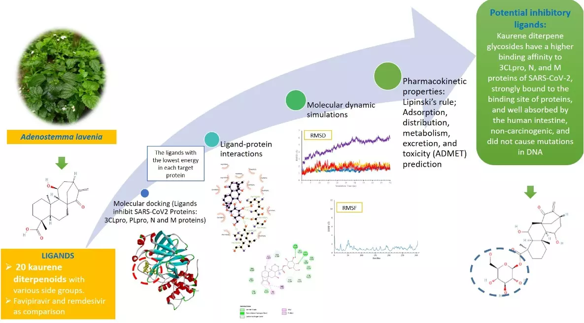 Graphical Abstract
