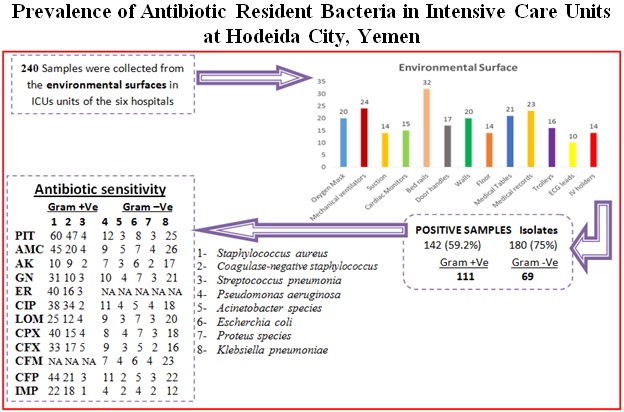 Graphical Abstract
