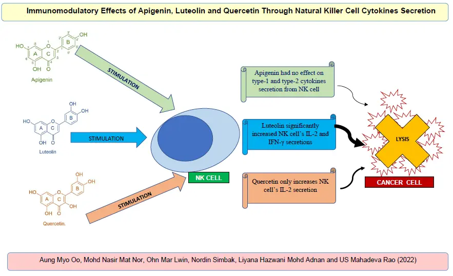 Graphical Abstract
