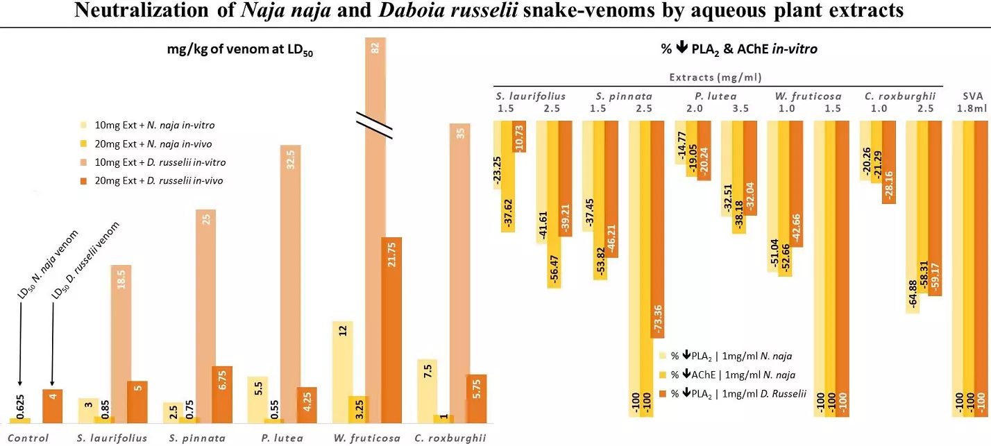 Graphical Abstract
