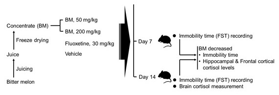 Graphical Abstract