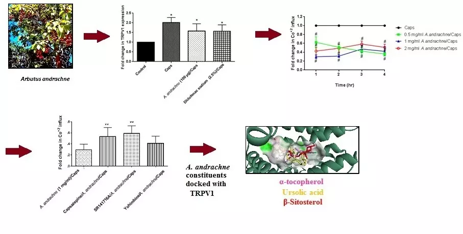 Graphical Abstract