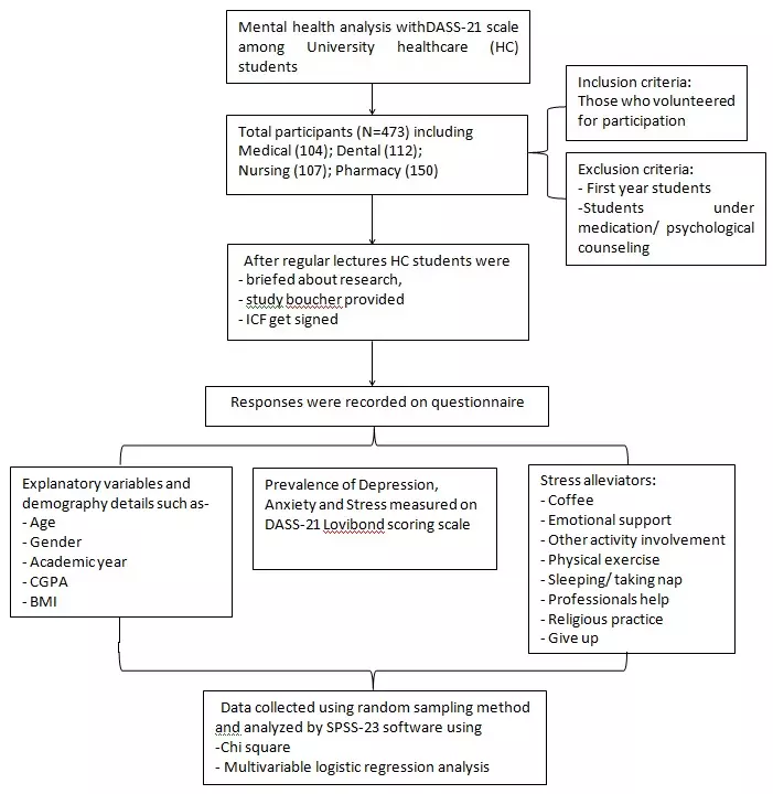 Graphical Abstract