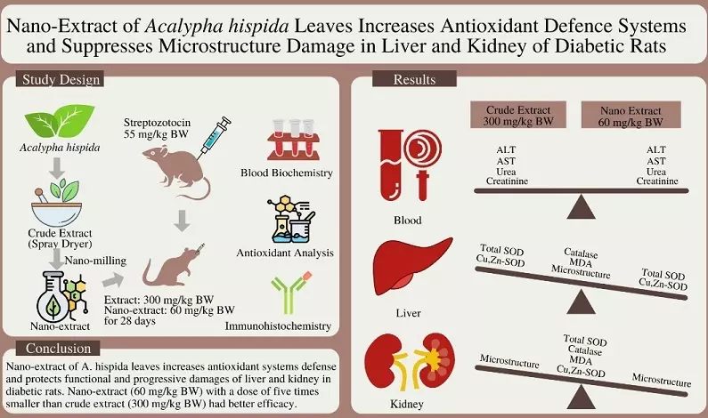 Graphical Abstract