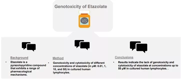 Graphical Abstract