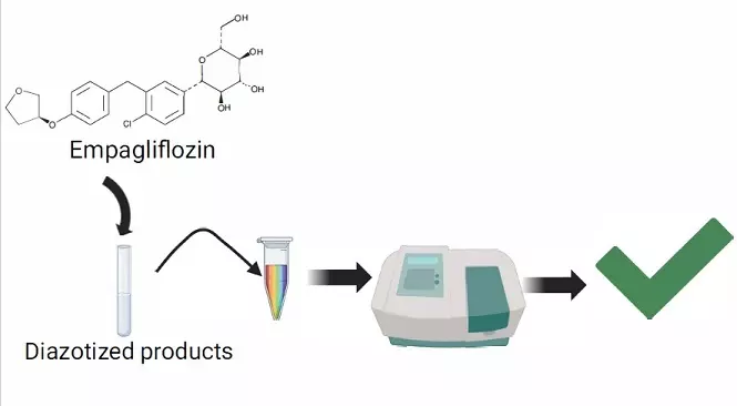 Graphical Abstract